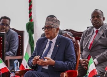 Ο πρόεδρος της Σομαλιλάνδης Αμπντιραχμάν Μοχαμέντ Αμπντουλαχί, τον περασμένο Μάιο, στο Ναϊρόμπι της Κένυας (φωτ. αρχείου: EPA/ DANIEL IRUNGU)