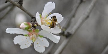 (Φωτ.: EUROKINISSI / Βασίλης Παπαδόπουλος)