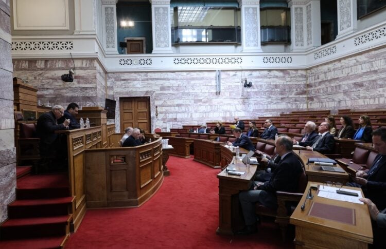 Στιγμιότυπο από την κοινή συνεδρίαση των επιτροπών Δημόσιας Διοίκησης, Δημόσιας Τάξης Και Δικαιοσύνης και ελληνισμού της Διασποράς (φωτ.: EUROKINISSI/Γιάννης Παναγόπουλος)