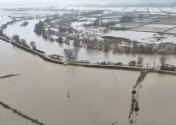Πλημμυρισμένες οι περιοχές γύρω από τον Έβρο (φωτ.: glomex)