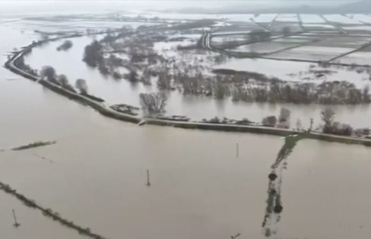 Πλημμυρισμένες οι περιοχές γύρω από τον Έβρο (φωτ.: glomex)