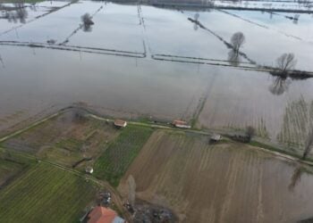 Πλημμυρισμένη έκταση σε περιοχή του Έβρου (φωτ.: ΑΠΕ-ΜΠΕ/Δημήτρης Αλεξούδης)