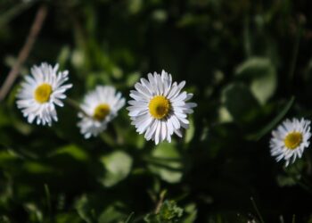 (Φωτ.: EUROKINISSI/Θανάσης Καλλιάρας)