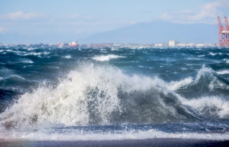 (Φωτ.: ΜΟΤΙΟΝΤΕΑΜ/Βασίλης Βερβερίδης)