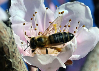 (Φωτ.: EUROKINISSI / Βασίλης Παπαδόπουλος)
