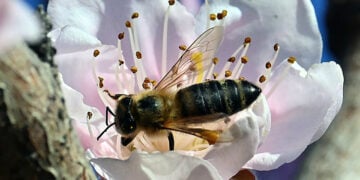 (Φωτ.: EUROKINISSI / Βασίλης Παπαδόπουλος)