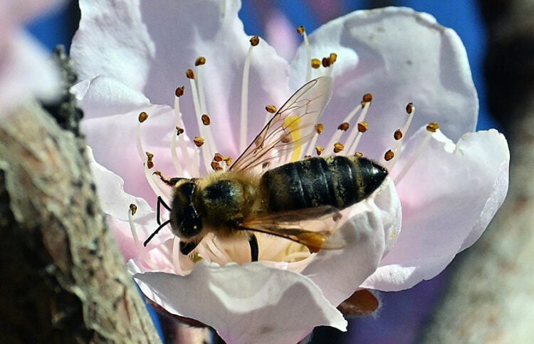 (Φωτ.: EUROKINISSI / Βασίλης Παπαδόπουλος)