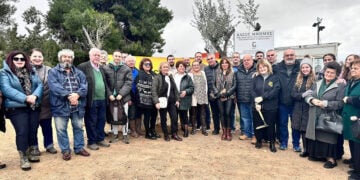 Η πρώτη φάση της δενδροφύτευσης έγινε την Κυριακή 25 Ιανουαρίου 2026 (φωτ.: Δήμος Πεντέλης)