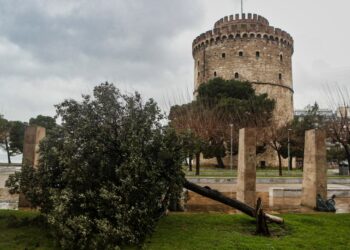 Σπασμένο δέντρο στην πλατεία Λευκού Πύργου (φωτ.: ΜΟΤΙΟΝΤΕΑΜ/Βασίλης Βερβερίδης)