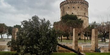 Σπασμένο δέντρο στην πλατεία Λευκού Πύργου (φωτ.: ΜΟΤΙΟΝΤΕΑΜ/Βασίλης Βερβερίδης)