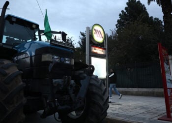 (Φωτ.: EUROKINISSI / Δανάη Δαυλοπούλου)