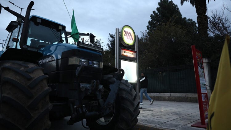 (Φωτ.: EUROKINISSI / Δανάη Δαυλοπούλου)