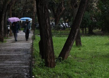 (Φωτ.: (EUROKINISSI / Δανάη Δαυλοπούλου)