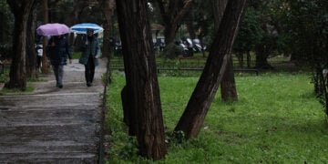 (Φωτ.: (EUROKINISSI / Δανάη Δαυλοπούλου)