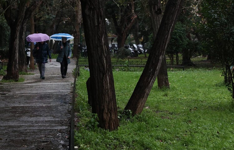 (Φωτ.: (EUROKINISSI / Δανάη Δαυλοπούλου)