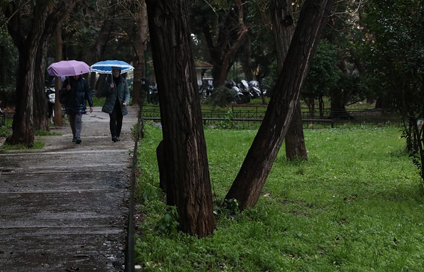 (Φωτ.: (EUROKINISSI / Δανάη Δαυλοπούλου)