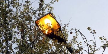 (Φωτ.: Τατιάνα Μπόλαρη/	Eurokinissi)