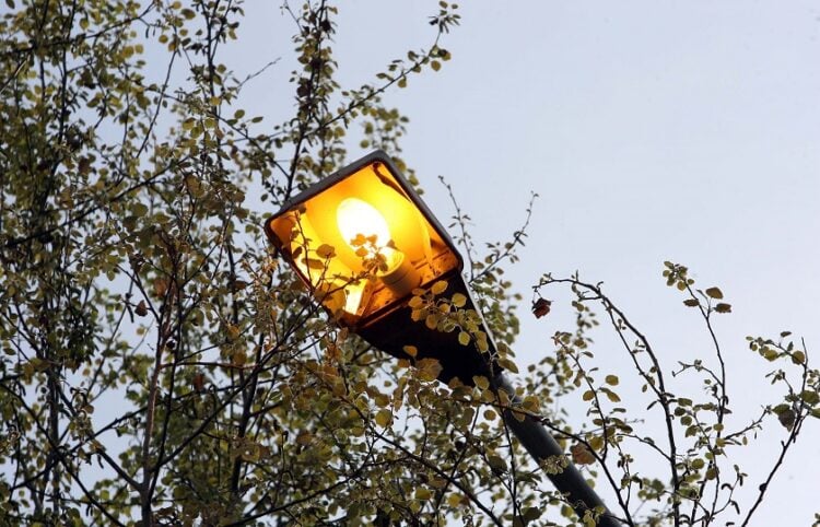 (Φωτ.: Τατιάνα Μπόλαρη/	Eurokinissi)