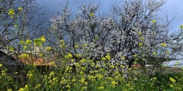 (Φωτ.: EUROKINISSI / Βασίλης Παπαδόπουλος)