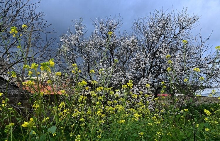(Φωτ.: EUROKINISSI / Βασίλης Παπαδόπουλος)