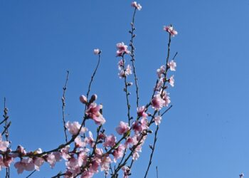 (Βασίλης Παπαδόπουλος/ EUROKINISSI)