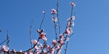 (Βασίλης Παπαδόπουλος/ EUROKINISSI)