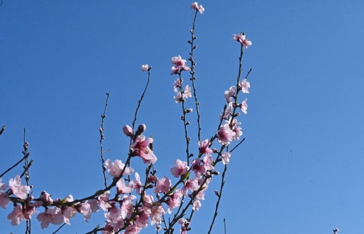 (Βασίλης Παπαδόπουλος/ EUROKINISSI)