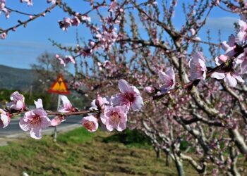 (Φωτ.: Βασίλης Παπαδόπουλος/ EUROKINISSI)