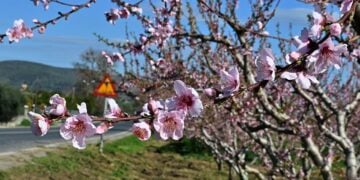 (Φωτ.: Βασίλης Παπαδόπουλος/ EUROKINISSI)