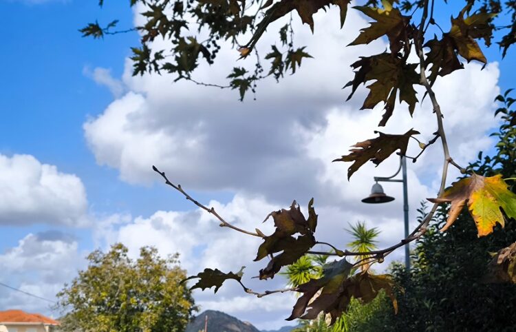 (Φωτ.: Γιώργος Κονταρίνης/EUROKINISSI)