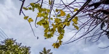 (Φωτ.: EUROKINISSI / Γιώργος Κονταρίνης)