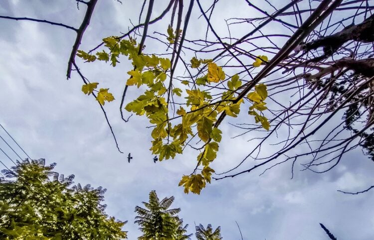 (Φωτ.: EUROKINISSI / Γιώργος Κονταρίνης)