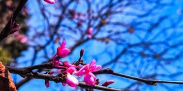 (Φωτ.: Γιώργος Κονταρίνης/EUROKINISSI)