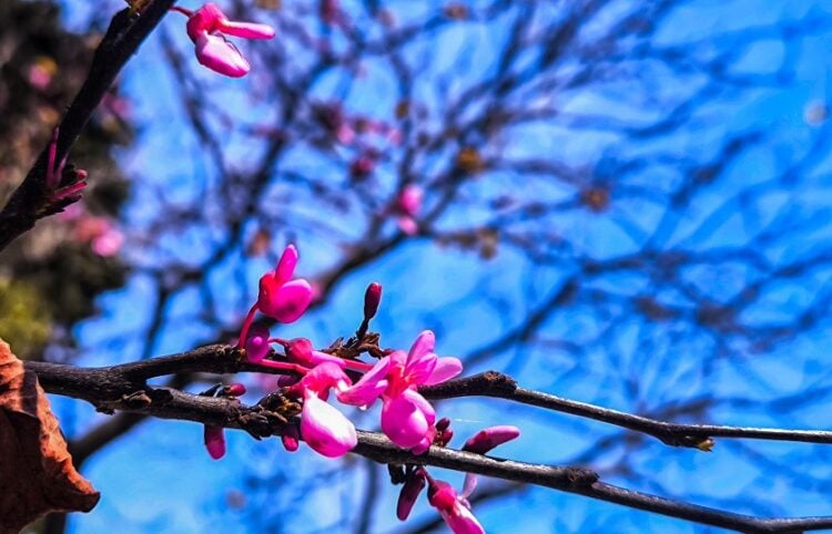(Φωτ.: Γιώργος Κονταρίνης/EUROKINISSI)