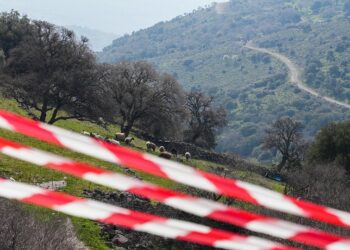 Νέα κρούσματα αφθώδους πυρετού σε κτηνοτροφική μονάδα της Λέσβου (Παναγιώτης Μπαλάσκας/EUROKINISSI)