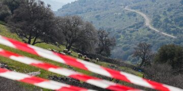 Νέα κρούσματα αφθώδους πυρετού σε κτηνοτροφική μονάδα της Λέσβου (Παναγιώτης Μπαλάσκας/EUROKINISSI)