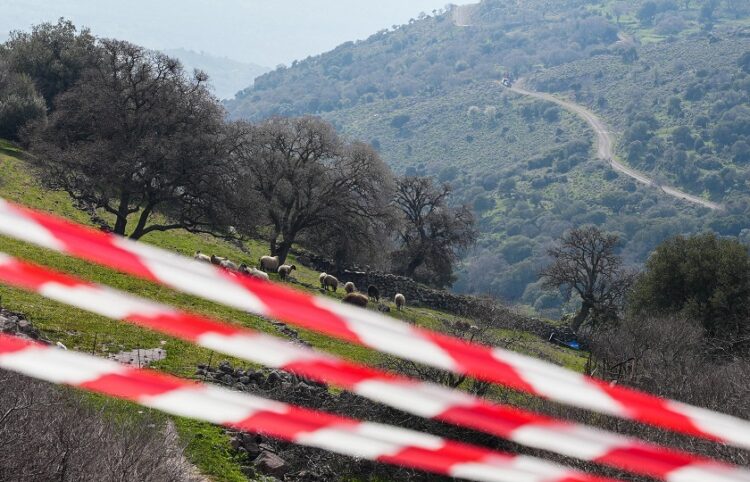 Νέα κρούσματα αφθώδους πυρετού σε κτηνοτροφική μονάδα της Λέσβου (Παναγιώτης Μπαλάσκας/EUROKINISSI)