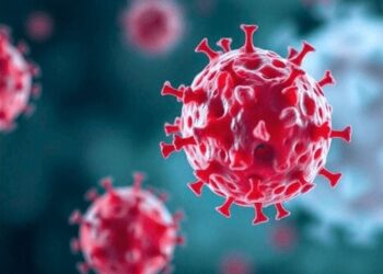 (Φωτ.: shebaonline.org)