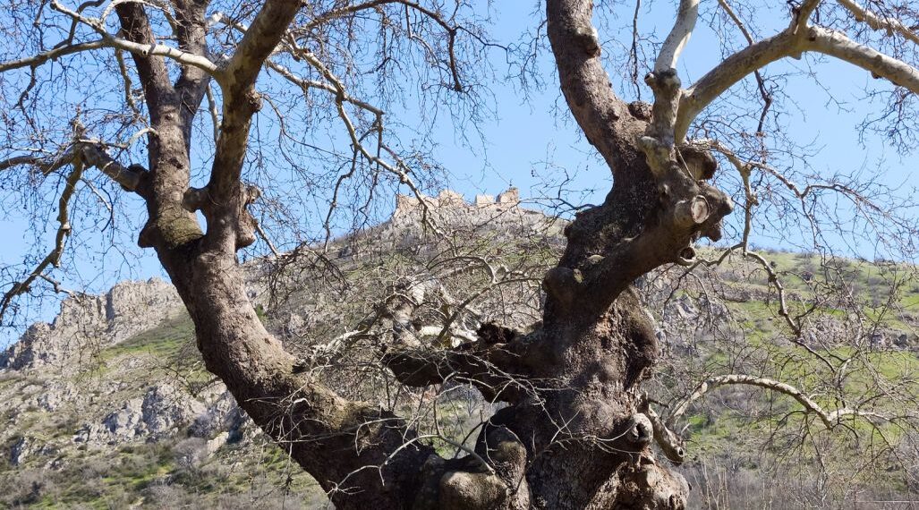 Το Γυναικόκαστρο όπως φαίνεται από τη βάση εκκίνησης της διαδρομής 3km που σχεδιάστηκε από το υπουργείο Πολιτισμού για την προσέγγισή του (φωτ.: Αλεξία Ιωαννίδου)