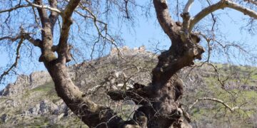 Το Γυναικόκαστρο όπως φαίνεται από τη βάση εκκίνησης της διαδρομής 3km που σχεδιάστηκε από το υπουργείο Πολιτισμού για την προσέγγισή του (φωτ.: Αλεξία Ιωαννίδου)