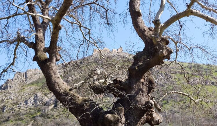 Το Γυναικόκαστρο όπως φαίνεται από τη βάση εκκίνησης της διαδρομής 3km που σχεδιάστηκε από το υπουργείο Πολιτισμού για την προσέγγισή του (φωτ.: Αλεξία Ιωαννίδου)