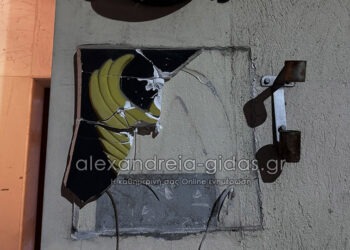 (Φωτ.: alexandreia-gidas.gr)