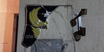 (Φωτ.: alexandreia-gidas.gr)