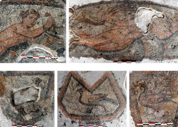 Λεπτομέρειες από γυναικείες μορφές και πτηνά σε διάχωρα ψηφιδωτά δαπέδου της αίθουσας 3δ1085 (πηγή: Εφορεία Αρχαιοτήτων Φλώρινας)