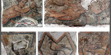 Λεπτομέρειες από γυναικείες μορφές και πτηνά σε διάχωρα ψηφιδωτά δαπέδου της αίθουσας 3δ1085 (πηγή: Εφορεία Αρχαιοτήτων Φλώρινας)