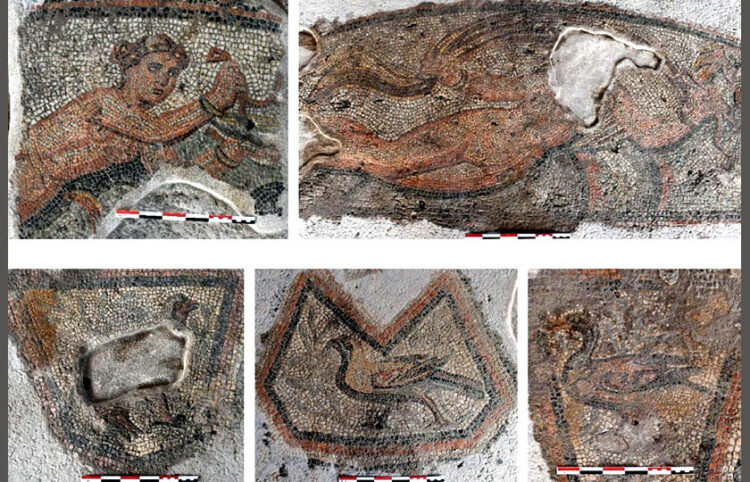 Λεπτομέρειες από γυναικείες μορφές και πτηνά σε διάχωρα ψηφιδωτά δαπέδου της αίθουσας 3δ1085 (πηγή: Εφορεία Αρχαιοτήτων Φλώρινας)