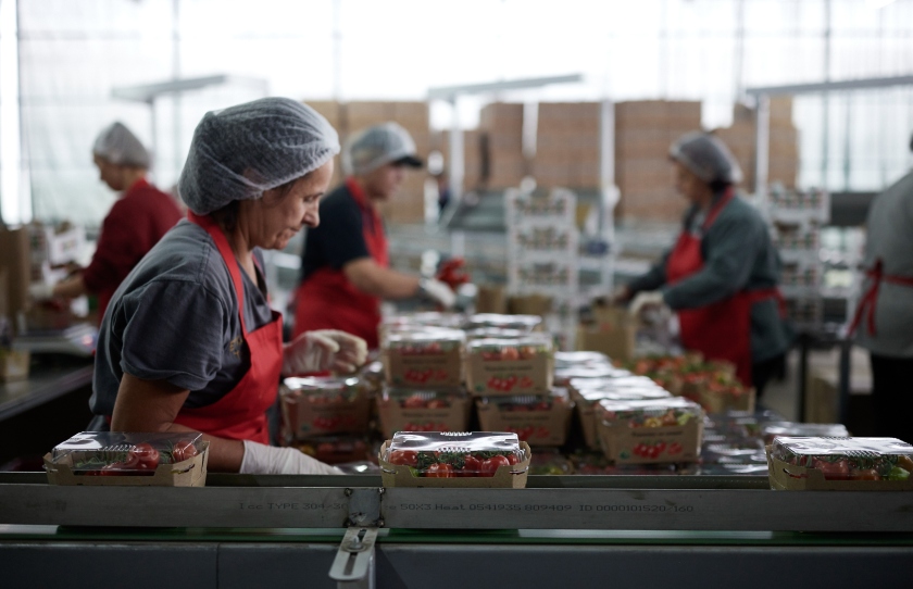 (Φωτ. αρχείου: Γραφείο Τύπου Πρωθυπουργού/Δημήτρης Παπαμήτσος)