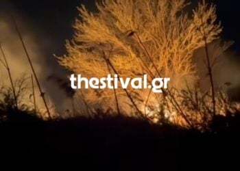 (Πηγή: youtube.com/@thestivalgr)