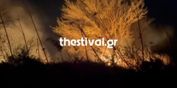 (Πηγή: youtube.com/@thestivalgr)