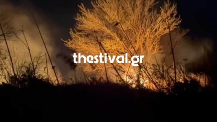 (Πηγή: youtube.com/@thestivalgr)